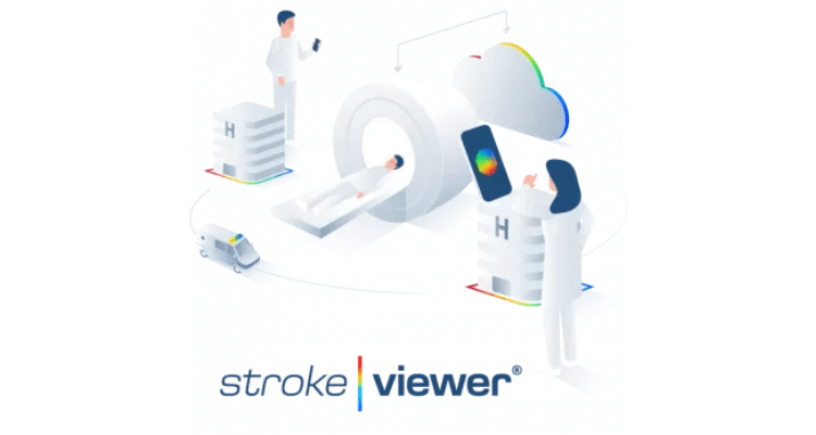 Nicolab stroke viewer