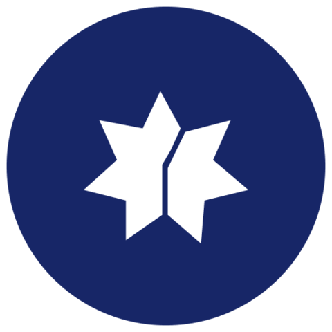 Federation Alternative Investments Logo
