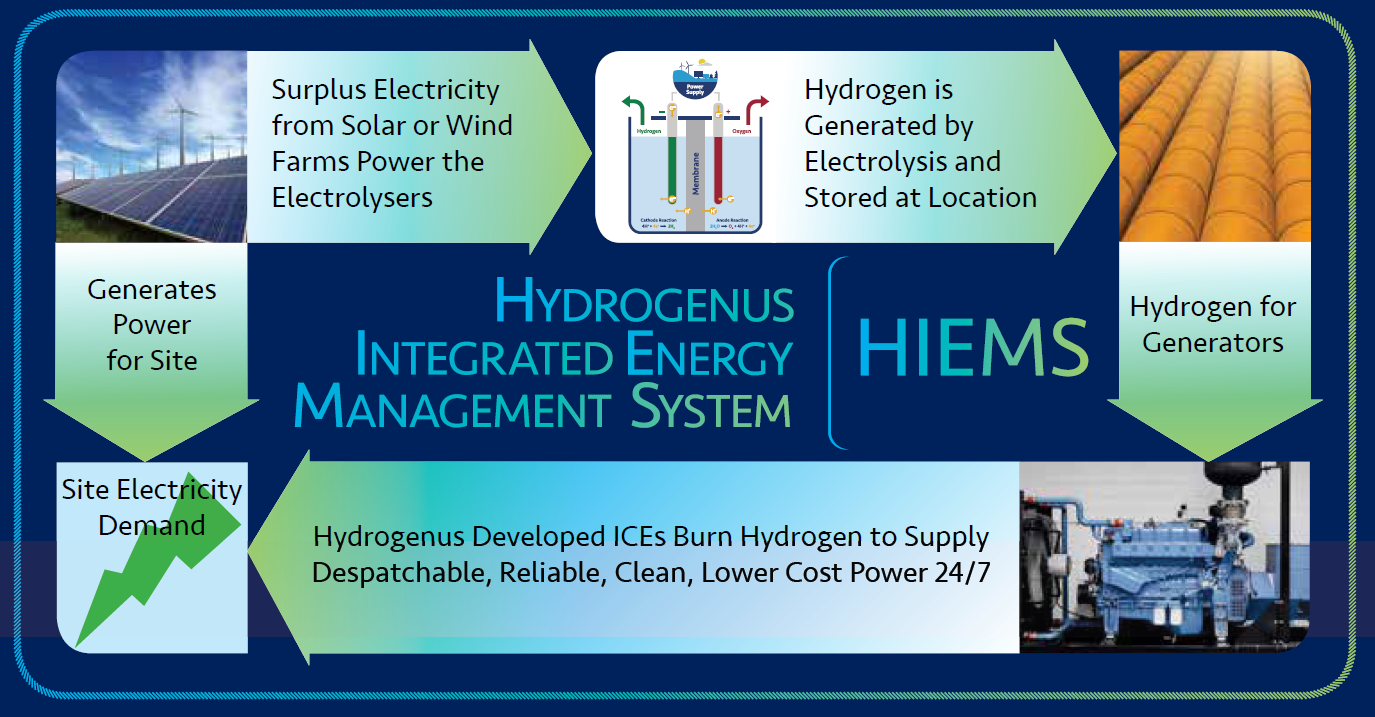Hydrogenus system