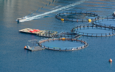 aquaculture 1