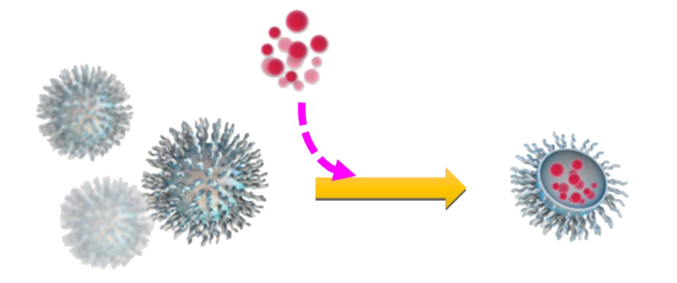 EDV_Technology_Drug_siRNA_miRNA_packaging-970x406
