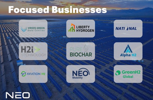 neo businesses