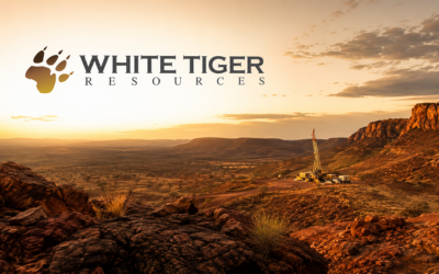 White Tiger 400 x 250